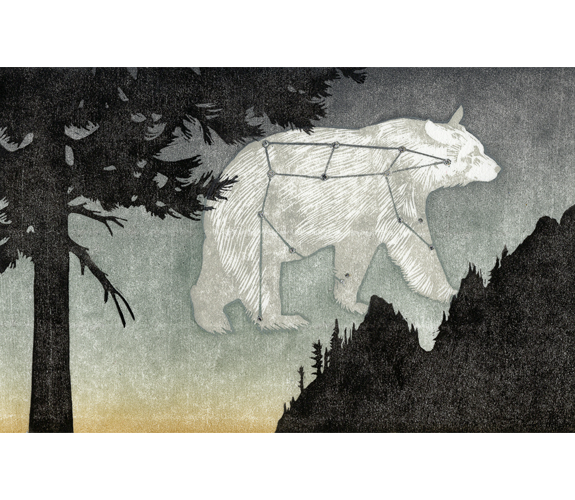 "Ursa Walking" by Kristen Etmund